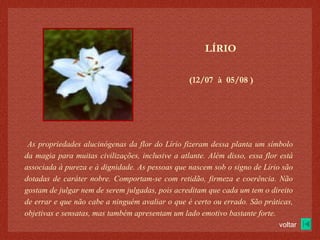 (12/07  à  05/08 )‏ LÍRIO As propriedades alucinógenas da flor do Lírio fizeram dessa planta um símbolo da magia para muitas civilizações, inclusive a atlante. Além disso, essa flor está associada à pureza e à dignidade. As pessoas que nascem sob o signo de Lírio são dotadas de caráter nobre. Comportam-se com retidão, firmeza e coerência. Não gostam de julgar nem de serem julgadas, pois acreditam que cada um tem o direito de errar e que não cabe a ninguém avaliar o que é certo ou errado. São práticas, objetivas e sensatas, mas também apresentam um lado emotivo bastante forte. voltar 