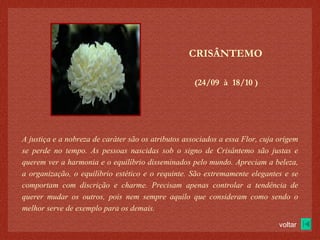 (24/09  à  18/10 )‏ CRISÂNTEMO A justiça e a nobreza de caráter são os atributos associados a essa Flor, cuja origem se perde no tempo. As pessoas nascidas sob o signo de Crisântemo são justas e querem ver a harmonia e o equilíbrio disseminados pelo mundo. Apreciam a beleza, a organização, o equilíbrio estético e o requinte. São extremamente elegantes e se comportam com discrição e charme. Precisam apenas controlar a tendência de querer mudar os outros, pois nem sempre aquilo que consideram como sendo o melhor serve de exemplo para os demais. voltar 