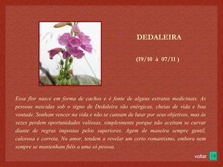 (19/10  à  07/11 )‏ DEDALEIRA Essa flor nasce em forma de cachos e é fonte de alguns extratos medicinais. As pessoas nascidas sob o signo de Dedaleira são enérgicas, cheias de vida e boa vontade. Sonham vencer na vida e não se cansam de lutar por seus objetivos, mas às vezes perdem oportunidades valiosas, simplesmente porque não aceitam se curvar diante de regras impostas pelos superiores. Agem de maneira sempre gentil, calorosa e correta. No amor, tendem a revelar um certo romantismo, embora nem sempre se mantenham fiéis a uma só pessoa. voltar 