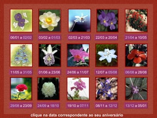 02/03 a 21/03 06/01 a  02/02 03/02 a  01/03 clique na data correspondente ao seu aniversário 22/03 a 20/04 21/04  a 10/05 11/05 a  31/05 01/06 a 23/06 24/06 a 11/07 12/07 a  05/08 06/08  a 28/08 29/08  a 23/09 24/09  a  18/10 19/10 a  07/11 08/11 a  12/12 13/12  a 05/01 