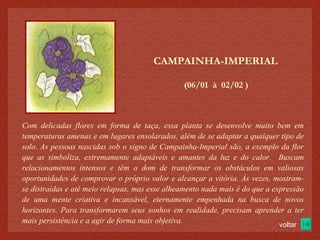 (06/01  à  02/02 )‏ CAMPAINHA-IMPERIAL Com delicadas flores em forma de taça, essa planta se desenvolve muito bem em temperaturas amenas e em lugares ensolarados, além de se adaptar a qualquer tipo de solo. As pessoas nascidas sob o signo de Campainha-Imperial são, a exemplo da flor que as simboliza, extremamente adaptáveis e amantes da luz e do calor.  Buscam relacionamentos intensos e têm o dom de transformar os obstáculos em valiosas oportunidades de comprovar o próprio valor e alcançar a vitória. Às vezes, mostram-se distraídas e até meio relapsas, mas esse alheamento nada mais é do que a expressão de uma mente criativa e incansável, eternamente empenhada na busca de novos horizontes. Para transformarem seus sonhos em realidade, precisam aprender a ter mais persistência e a agir de forma mais objetiva. voltar 
