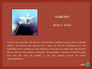 (02/03  à  21/03 )‏ NARCISO Conta-se que essa flor, tão rara nos dias de hoje, espalhava-se por todos os jardins atlantes. As pessoas que nascem sob o signo de Narciso destacam-se por sua habilidade em se comunicar, pela simpatia e pelo jogo de cintura que lhes permite sair-se bem nas mais diversas situações. São pacientes e, quando necessário, agem com uma boa dose de ousadia, o que lhes garante sucesso em vários empreendimentos. voltar 