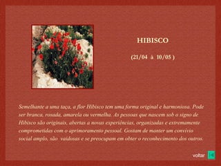 (21/04  à  10/05 )‏ HIBISCO Semelhante a uma taça, a flor Hibisco tem uma forma original e harmoniosa. Pode ser branca, rosada, amarela ou vermelha. As pessoas que nascem sob o signo de Hibisco são originais, abertas a novas experiências, organizadas e extremamente comprometidas com o aprimoramento pessoal. Gostam de manter um convívio social amplo, são  vaidosas e se preocupam em obter o reconhecimento dos outros. voltar 