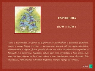 (11/05  à  31/05 )‏ ESPOREIRA Azuis e pequeninas, as flores da Esporeira se assemelham a pequenos golfinhos, presos a caules firmes e eretos. As pessoas que nascem sob este signo são fortes, determinadas e dignas, fazem questão de ter seu valor reconhecido e repudiam a falsidade e a hipocrisia. Realistas, sabem agir com serenidade e bom senso, mas nem por isso deixam de lado seus ideais e seus sentimentos mais elevados. São obstinadas, batalhadoras e dotadas de grande energia e força de vontade. voltar 