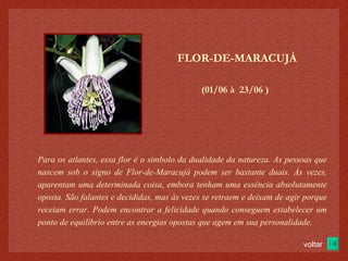 (01/06 à  23/06 )‏ FLOR-DE-MARACUJÁ Para os atlantes, essa flor é o símbolo da dualidade da natureza. As pessoas que nascem sob o signo de Flor-de-Maracujá podem ser bastante duais. Às vezes, aparentam uma determinada coisa, embora tenham uma essência absolutamente oposta. São falantes e decididas, mas às vezes se retraem e deixam de agir porque receiam errar. Podem encontrar a felicidade quando conseguem estabelecer um ponto de equilíbrio entre as energias opostas que agem em sua personalidade. voltar 