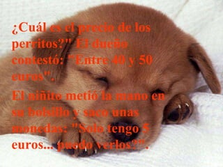 ¿Cuál es el precio de los perritos?" El dueño contestó: "Entre 40 y 50 euros". El niñito metió la mano en su bolsillo y saco unas monedas: "Solo tengo 5 euros... puedo verlos?".  