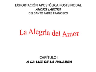 EXHORTACIÓN APOSTÓLICA POSTSINODAL
AMORIS LAETITIA
DEL SANTO PADRE FRANCISCO
CAPÍTULO I
A LA LUZ DE LA PALABRA
 