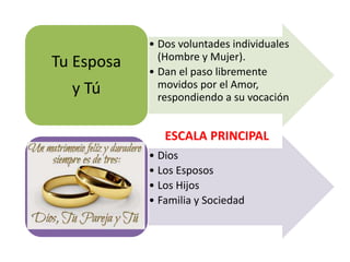 • Dos voluntades individuales
(Hombre y Mujer).
• Dan el paso libremente
movidos por el Amor,
respondiendo a su vocación
Tu Esposa
y Tú
• Dios
• Los Esposos
• Los Hijos
• Familia y Sociedad
ESCALA PRINCIPAL
 