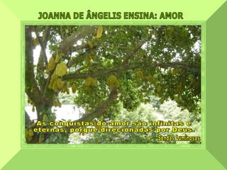 JOANNA DE ÂNGELIS ENSINA: AMOR  As conquistas do amor são infinitas e  eternas, porque direcionadas por Deus. Sendas Luminosas 