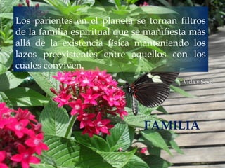 Los parientes en el planeta se tornan filtros
de la familia espiritual que se manifiesta más
allá de la existencia física manteniendo los
lazos preexistentes entre aquellos con los
cuales conviven.
FAMILIA
“Vida y Sexo”
Ana Escobar
 