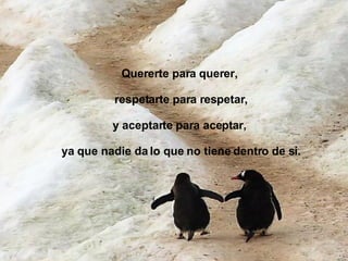 Quererte para querer, respetarte para respetar, y aceptarte para aceptar, ya que nadie da lo que no tiene dentro de sí. 