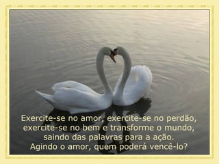 Exercite-se no amor, exercite-se no perdão, exercite-se no bem e transforme o mundo, saindo das palavras para a ação. Agindo o amor, quem poderá vencê-lo? 