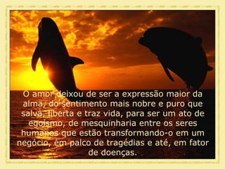 O amor deixou de ser a expressão maior da alma, do sentimento mais nobre e puro que salva, liberta e traz vida, para ser um ato de egoísmo, de mesquinharia entre os seres humanos que estão transformando-o em um negócio, em palco de tragédias e até, em fator de doenças. 