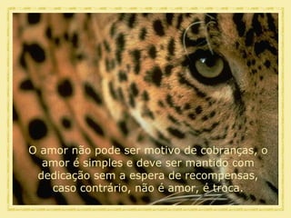O amor não pode ser motivo de cobranças, o amor é simples e deve ser mantido com dedicação sem a espera de recompensas, caso contrário, não é amor, é troca. 