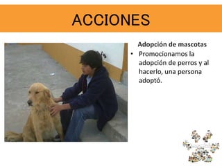 • Promocionamos la
adopción de perros y al
hacerlo, una persona
adoptó.
ACCIONES
 