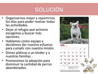 SOLUCIÓN
• Organizarnos mejor y repartirnos
los días para poder realizar todas
las actividades.
• Dejar al refugio que primero
escogimos y buscar más
opciones.
• Hablamos como equipo y
decidimos dar nuestro esfuerzo
para cumplir con nuestra misión.
• Dimos pláticas a un kínder y a
nuestras familias .
• Promovimos la adopción para
disminuir la cantidad de perros
abandonados.
 