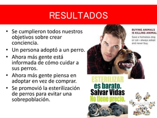 RESULTADOS
• Se cumplieron todos nuestros
objetivos sobre crear
conciencia.
• Un persona adoptó a un perro.
• Ahora más gente está
informada de cómo cuidar a
sus perros.
• Ahora más gente piensa en
adoptar en vez de comprar.
• Se promovió la esterilización
de perros para evitar una
sobrepoblación.
 