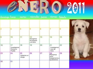 Escogimos los
equipos y el
tema
Investigamos
Perras en Puebla
Investigamos
mas del tema
seleccionado
Visitamos un
refugio
Planeamos bien
como íbamos a
trabajar y que
queríamos lograr
Escogimos
los equipos
y el tema
Investigamos
Perras en
Puebla
Investigamos
mas del
tema
Visitamos un
refugio
Planeamos
como
trabajaríamos y
ayudaríamos
 