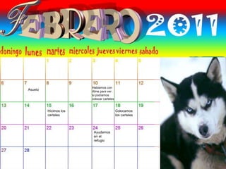 Asueto
Hablamos con
Aline para ver
si podíamos
colocar carteles
Hicimos los
carteles
Colocamos
los carteles
Ayudamos
en el
refugio
 