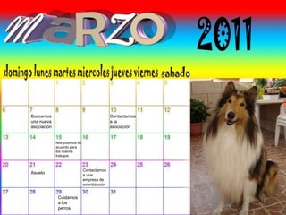 Buscamos
una nueva
asociación
Contactamos
a la
asociación
Nos pusimos de
acuerdo para
los nuevos
trabajos
Asueto
Contactamos
a una
empresa de
esterilización
Cuidamos
a los
perros
 