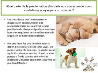 ¿Qué parte de la problemática abordada nos corresponde como
ciudadanos apoyar para su solución?
• Los ciudadanos que tienen perros o
mascotas en general, tienen que
responsabilizarse de su animal y estar
pendiente de ellos pues igual que nosotros
humanos requieren de atención y también
requieren de necesidades básicas.
• Por otro lado, los que tienen mascotas
deben de respetar a estos seres vivos, sin
jugar cruelmente con ellos, ni usarlos como
algún tipo de experimento, ni maltratados
porque a fin de cuentas son animales
inocentes y muchos son inofensivos y no se
pueden defender.
 