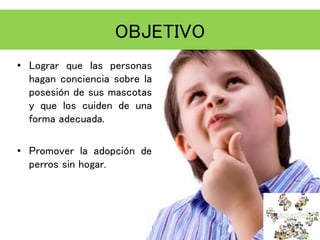 OBJETIVO
• Lograr que las personas
hagan conciencia sobre la
posesión de sus mascotas
y que los cuiden de una
forma adecuada.
• Promover la adopción de
perros sin hogar.
 