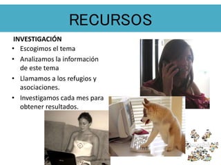 RECURSOS
INVESTIGACIÓN
• Escogimos el tema
• Analizamos la información
de este tema
• Llamamos a los refugios y
asociaciones.
• Investigamos cada mes para
obtener resultados.
 