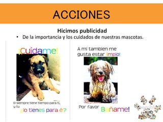 ACCIONES
• De la importancia y los cuidados de nuestras mascotas.
 