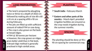 PAGE
21
PAGE
20
LAND PREPARATION
• The land is prepared by ploughing
twice or thrice to a depth of 2022 cm
followed by making pits of size 60 x 60
x 45 cm at a spacing of90 x 90 cm
during February.
• The pits are filled up with sufficient
amount of rotted FYM or cow dung.
• The crop is also grown on flat beds
or broad ridges.
• FYM @ 30 tonnes per hectare
• However, the crop grown on ridges
gives better yield than in flat beds.
• Broad ridge method is generally
practised in high rainfall areas.
PLANTING
South India - February-March
Eastern and other parts of the
country - March-April ,provided
irrigation facilities are ensured as
the crop needs irrigation during
the summer months.
SPACING
The planting should be done at 90 x
90 cm spacing for commercial crop.
 