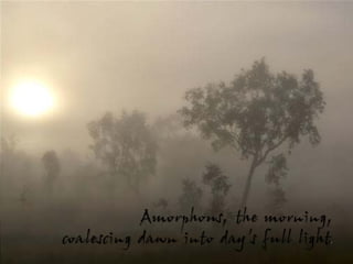 Amorphous, the morning,
coalescing dawn into day’s full light
                                    .
 