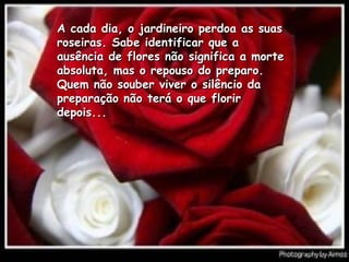 A cada dia, o jardineiro perdoa as suas roseiras. Sabe identificar que a ausência de flores não significa a morte absoluta, mas o repouso do preparo. Quem não souber viver o silêncio da preparação não terá o que florir depois...  