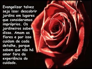 Evangelizar talvez seja isso: descobrir jardins em lugares que consideramos impróprios. Os jardineiros sabem disso. Amam as flores e por isso cuidam de cada detalhe, porque sabem que não há amor fora da experiência do cuidado. 