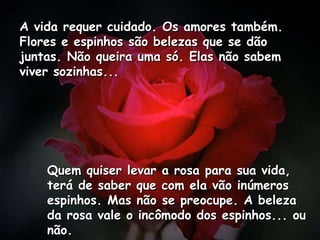 A vida requer cuidado. Os amores também. Flores e espinhos são belezas que se dão juntas. Não queira uma só. Elas não sabem viver sozinhas...  Quem quiser levar a rosa para sua vida, terá de saber que com ela vão inúmeros espinhos. Mas não se preocupe. A beleza da rosa vale o incômodo dos espinhos... ou não.  