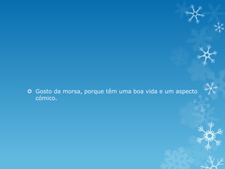  Gosto da morsa, porque têm uma boa vida e um aspecto
  cómico.
 