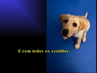 E com todos os sentidos.   