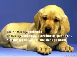 Eu  estou aprendendo. Estou aprendendo a aceitar as pessoas, Mesmo quando elas me desapontam, 