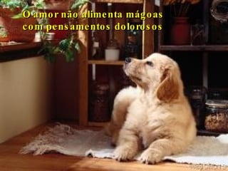 O amor não alimenta mágoas  com pensamentos dolorosos   
