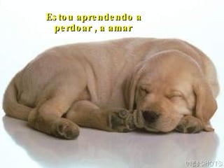 Estou aprendendo a perdoar , a amar  