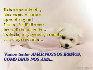 Estou aprendendo, Mas como é lenta a  aprendizagem! Como , é difícil amar  incondicionalmente...  Todavia, tropeçando, errando,  estou aprendendo... Vamos tentar AMAR NOSSOS IRMÃOS, COMO DEUS NOS AMA... 