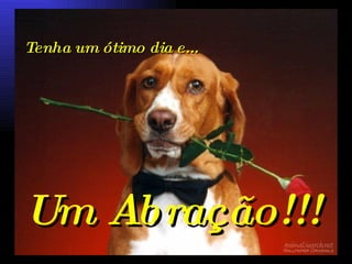Tenha um ótimo dia e... Um Abração!!! 