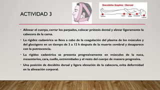 ACTIVIDAD 3
• Alinear el cuerpo, cerrar los parpados, colocar prótesis dental y elevar ligeramente la
cabecera de la cama.
• La rigidez cadavérica se lleva a cabo de la coagulación del plasma de los músculos y
del glucógeno en un tiempo de 3 a 12 h después de la muerte cerebral y desaparece
con la putrescencia.
• La rigidez cadavérica se presenta progresivamente en músculos de la nuca,
mesenterios, cara, cuello, extremidades y el resto del cuerpo de manera progresiva.
• Una posición de decúbito dorsal y ligera elevación de la cabecera, evita deformidad
en la alineación corporal.
 