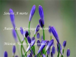 Soneto: A morte


Autor: Luiz Gonzaga Pinheiro


Música: Nachtigall serenade
 