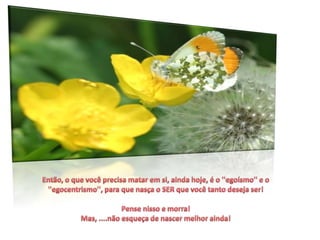 Então, o que você precisa matar em si, ainda hoje, é o ''egoísmo'' e o ''egocentrismo'', para que nasça o SER que você tanto deseja ser!Pense nisso e morra! Mas, ....não esqueça de nascer melhor ainda!