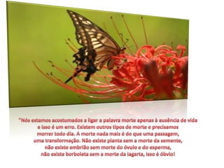 "Nós estamos acostumados a ligar a palavra morte apenas à ausência de vida e isso é um erro. Existem outros tipos de morte e precisamos morrer todo dia. A morte nada mais é do que uma passagem, uma transformação. Não existe planta sem a morte da semente, não existe embrião sem morte do óvulo e do esperma, não existe borboleta sem a morte da lagarta, isso é óbvio! 
