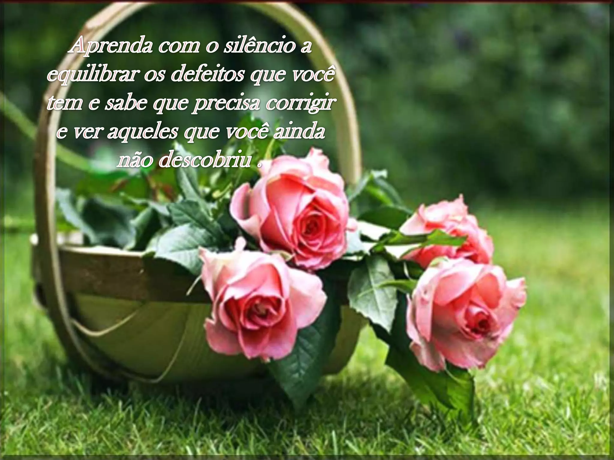 Aprendacom o silêncio a equilibrarosdefeitosquevocê tem e sabequeprecisacorrigir e veraquelesquevocêaindanãodescobriu .