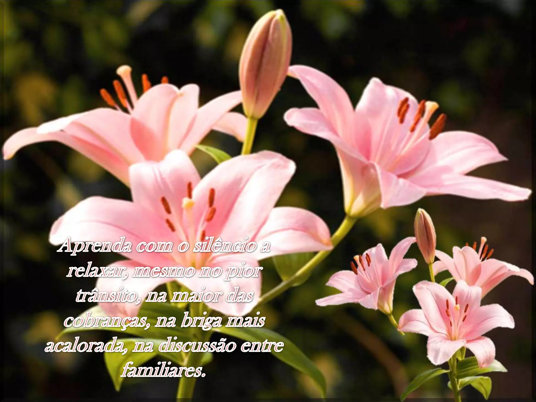 Aprenda com o silêncio a relaxar, mesmo no piortrânsito, namaior das cobranças, nabrigamaisacalorada, nadiscussão entre familiares.