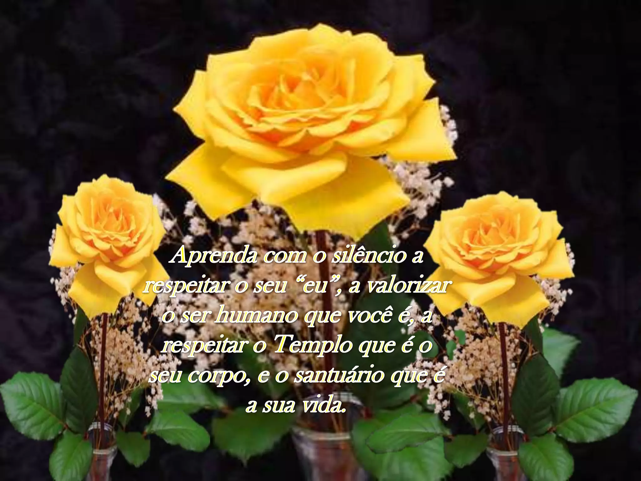 Aprendacom o silêncio a respeitar o seu “eu”, a valorizar o serhumanoquevocêé, a respeitar o Temploqueé o seucorpo, e o santuárioqueé a suavida.