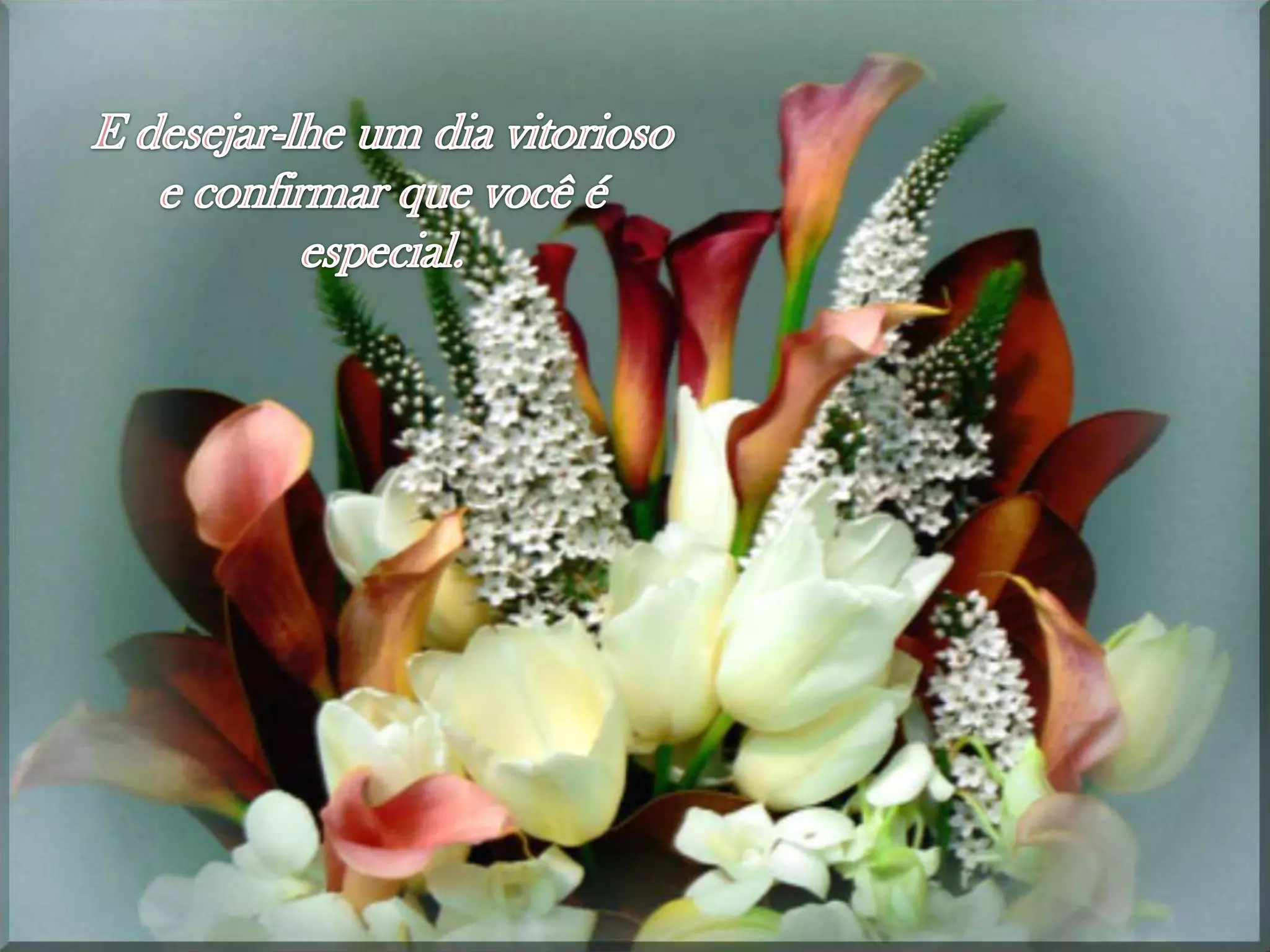 E desejar-lhe um diavitorioso e confirmarquevocêé especial.