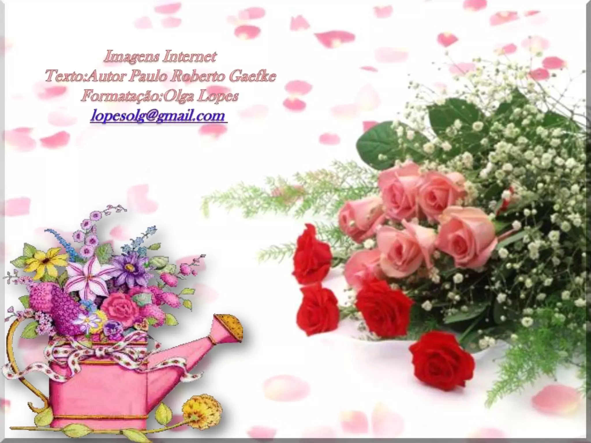 Imagens InternetTexto:AutorPaulo Roberto GaefkeFormatação:Olga Lopeslopesolg@gmail.com