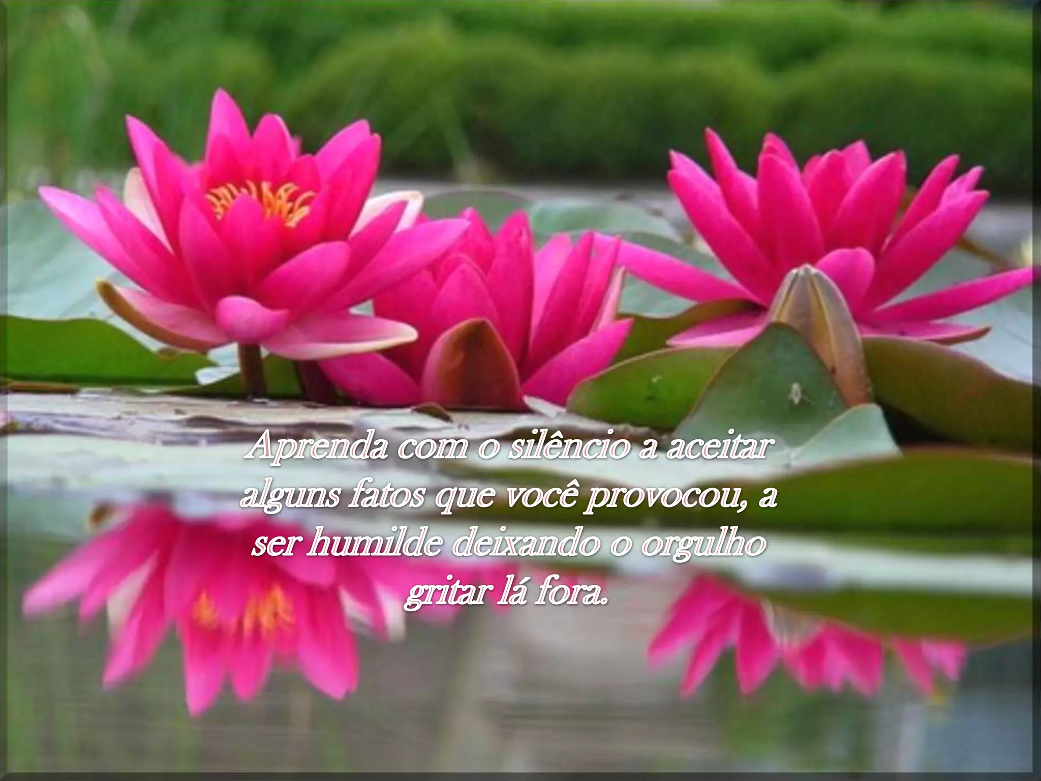 Aprendacom o silêncio a aceitaralgunsfatosquevocêprovocou, aserhumildedeixando o orgulhogritarláfora.